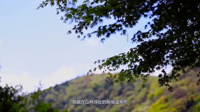 归家异途
